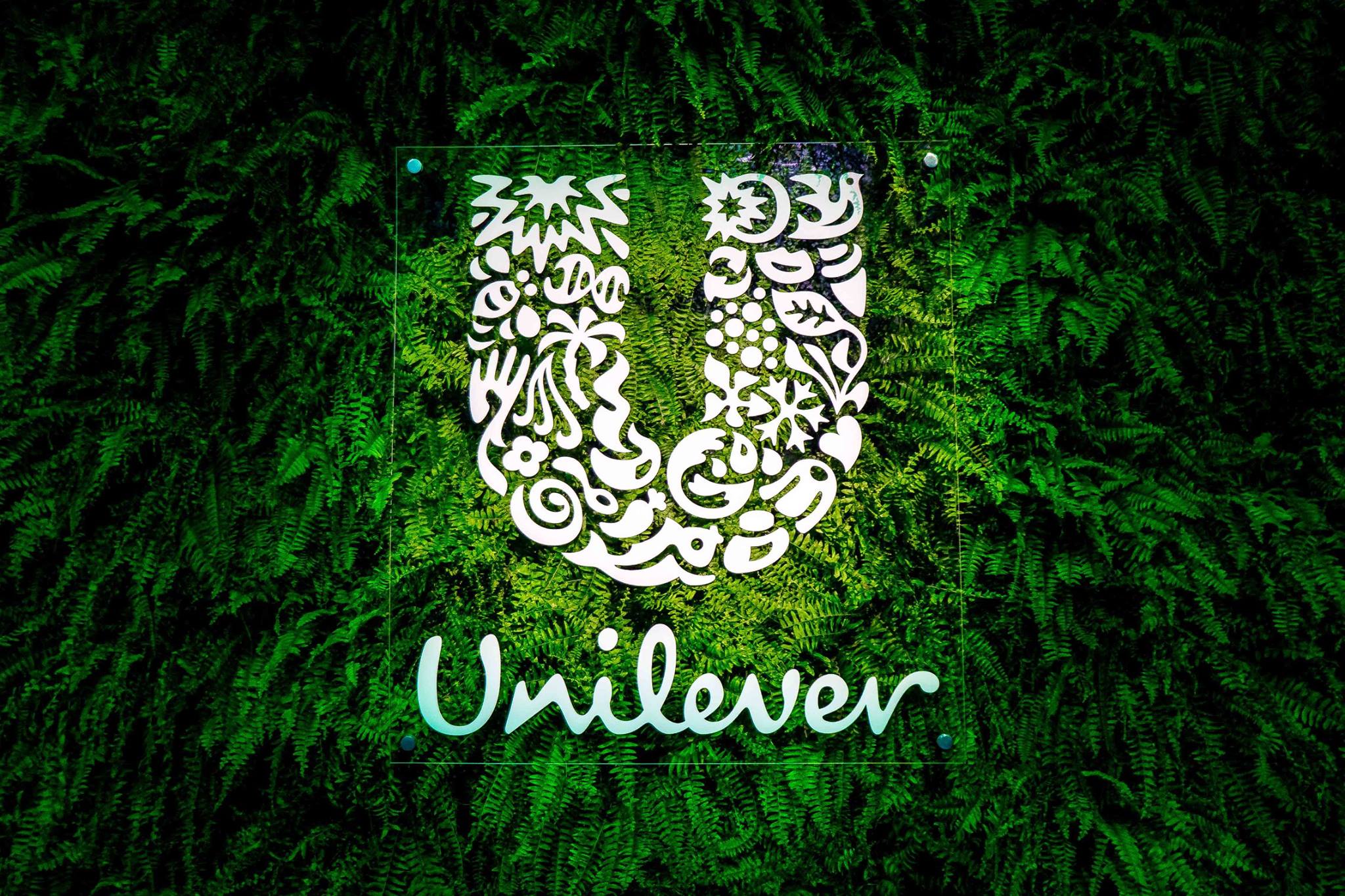 BIG MOMENT 2017  | Premiação Talentos | RNL | Unilever
