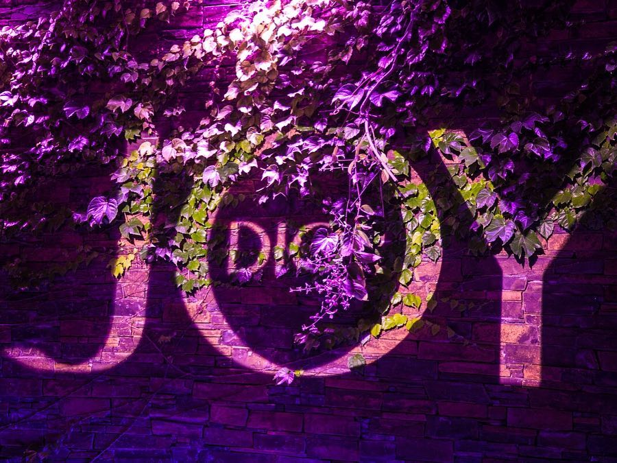 Joy by Dior