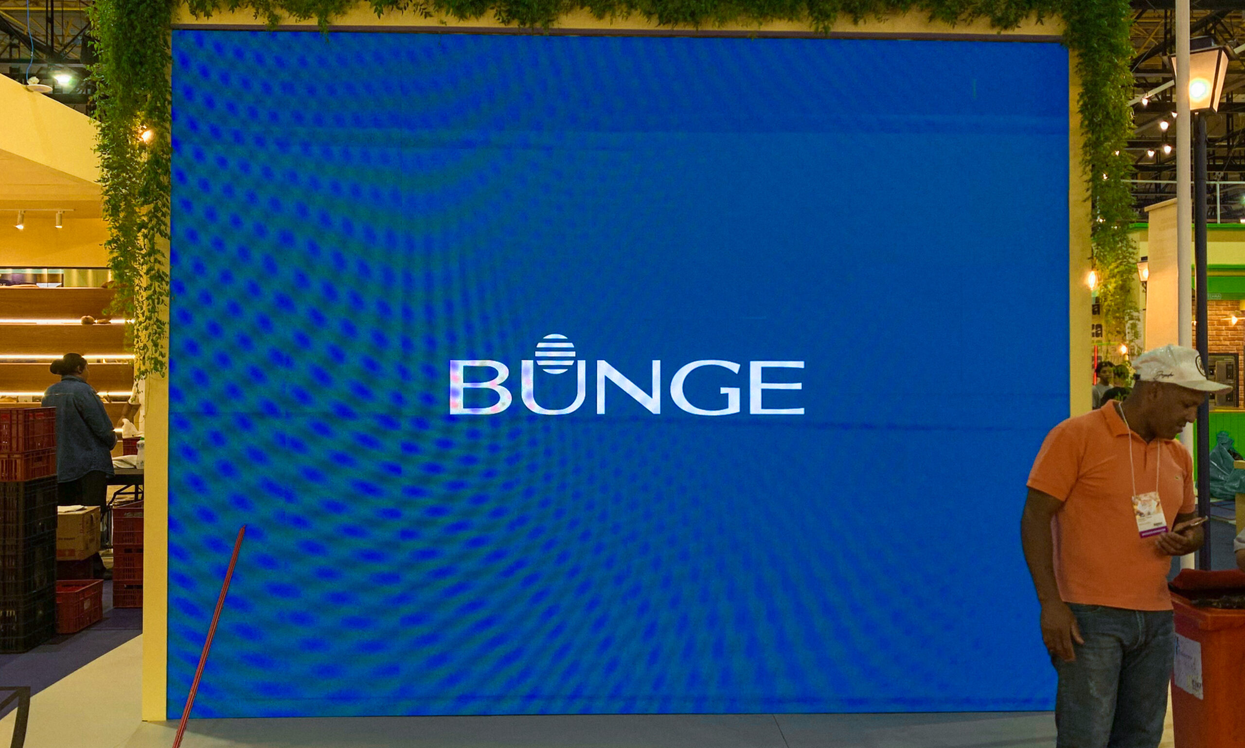 Vila Bunge